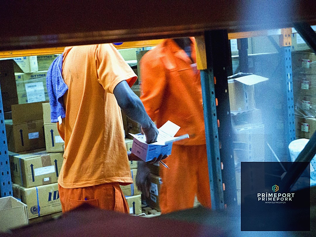 Deniz Yolu Taşımacılığı