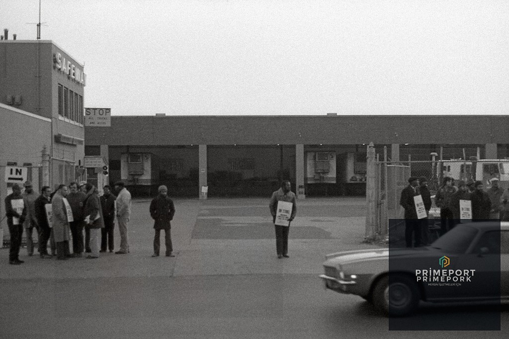 Hava Yolu Taşımacılığı