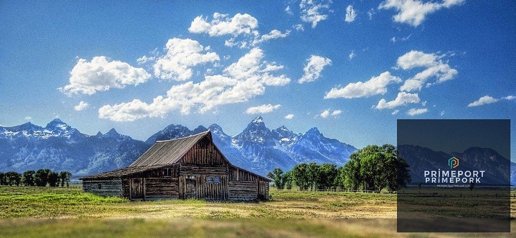 Gümrükleme Hizmetleri